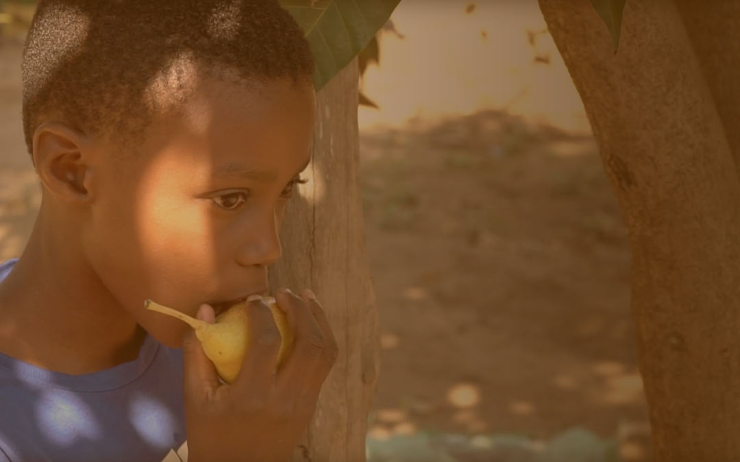 Desnutrição em Moçambique